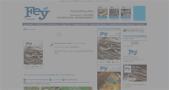 Desktop Screenshot of feymagazineweb.com